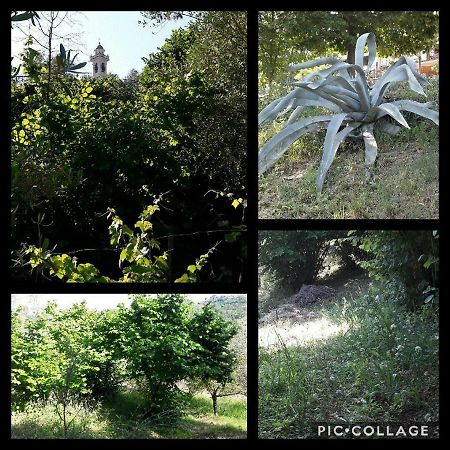 Готель Rural House Rondini Camposasco Екстер'єр фото