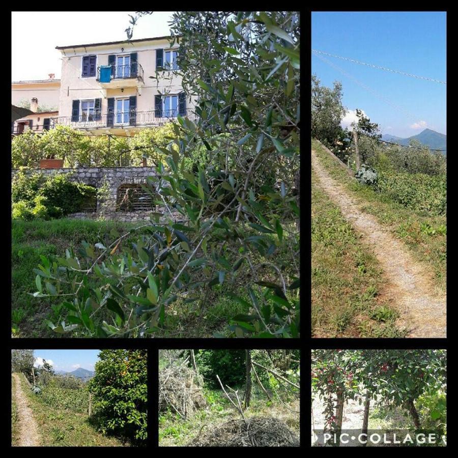 Готель Rural House Rondini Camposasco Екстер'єр фото